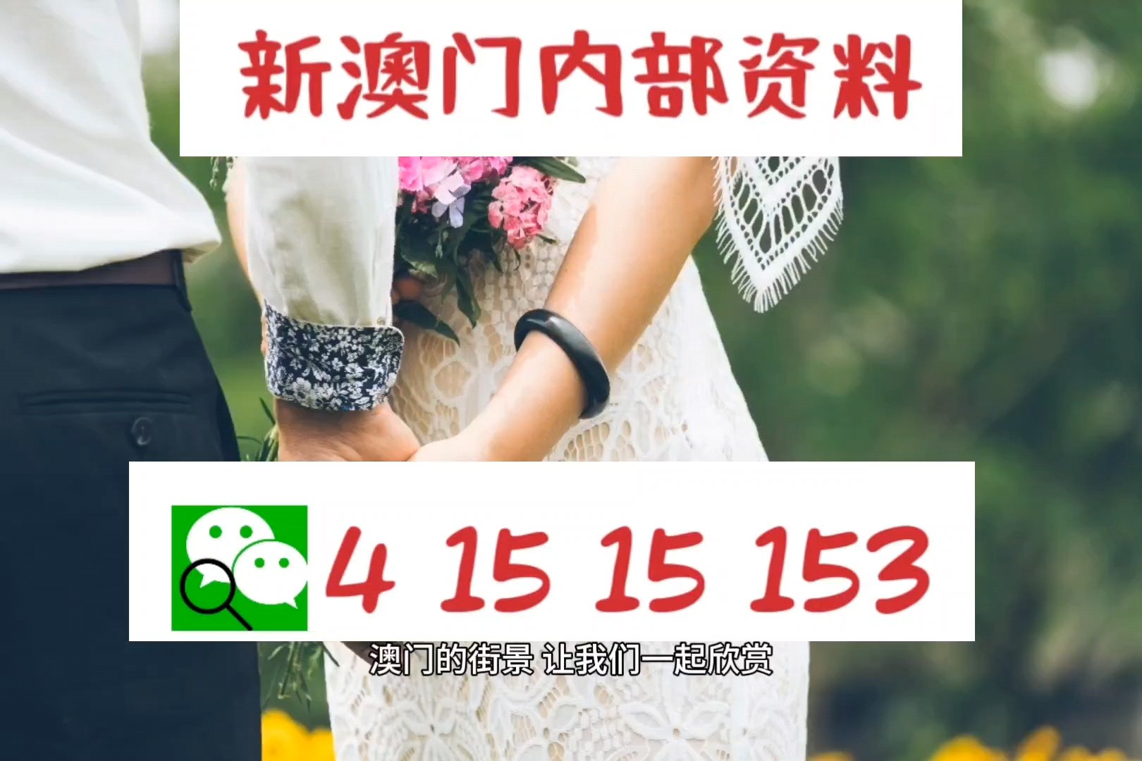 新澳门内部一码精准公开——探寻好运的秘密之旅