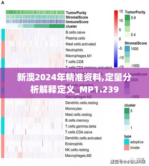 2025新澳最准确资料,定量解答解释落实_orw65.68.42