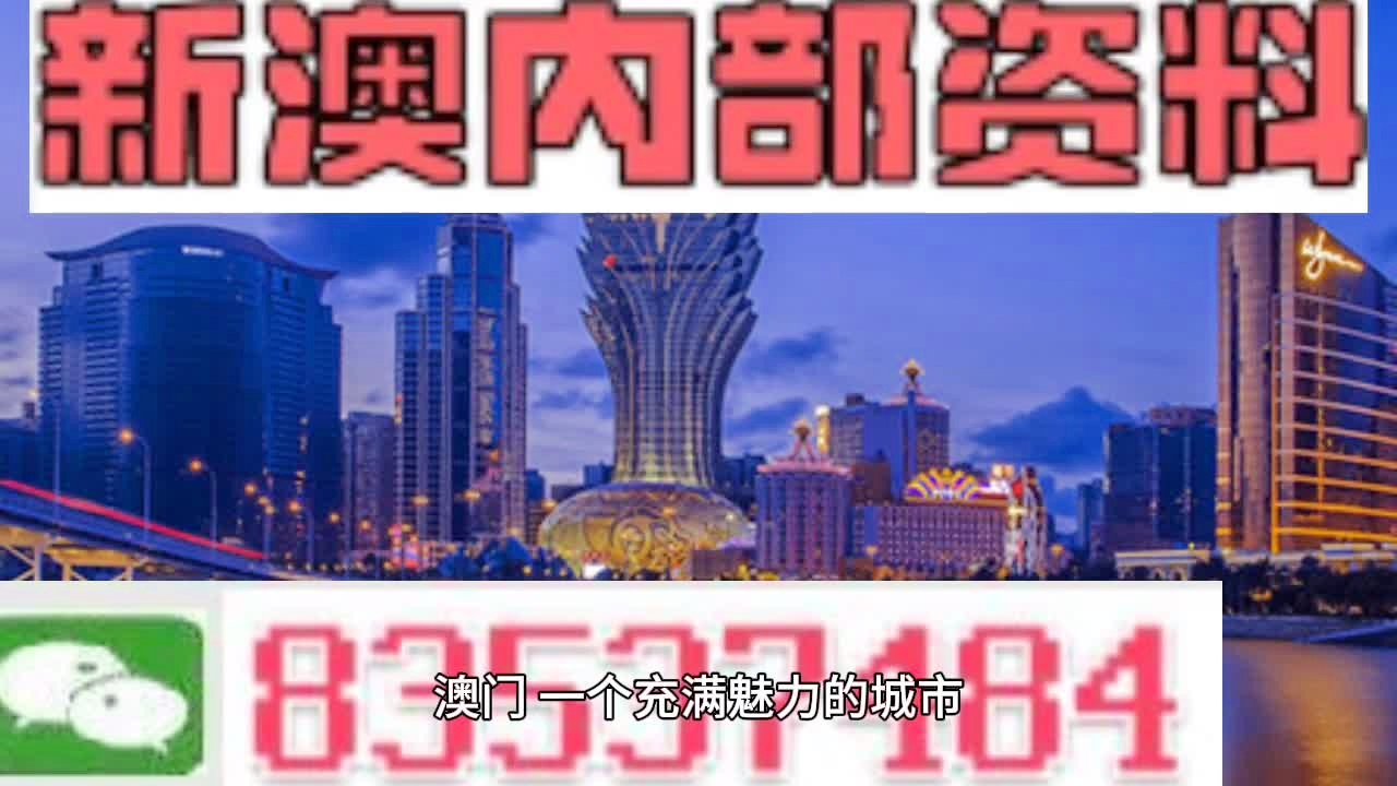 新澳新澳门正版资料,真实数据解释定义_轻量版1.22.856