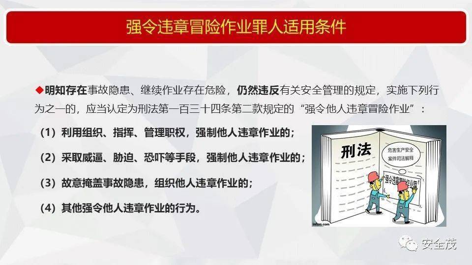 新澳精准资料免费提供,第510期的深入释义、解释与落实