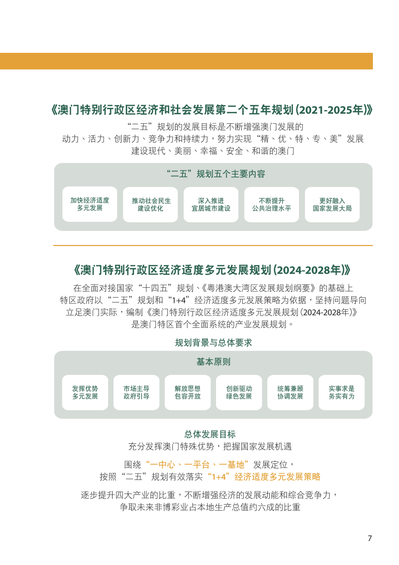 澳门王中王100%资料2025年全面释义解释与落实策略