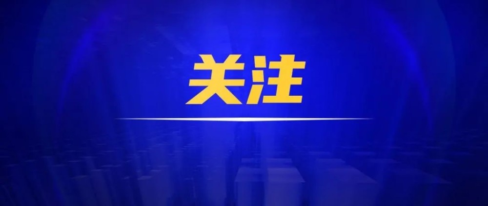 2025今晚必出三肖/精选解析解释落实