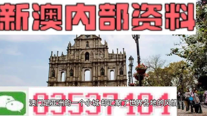 新澳门内部一码精准公开——探寻好运的秘密之旅